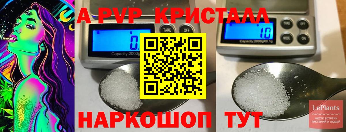 А ПВП СК КРИС Новошахтинск