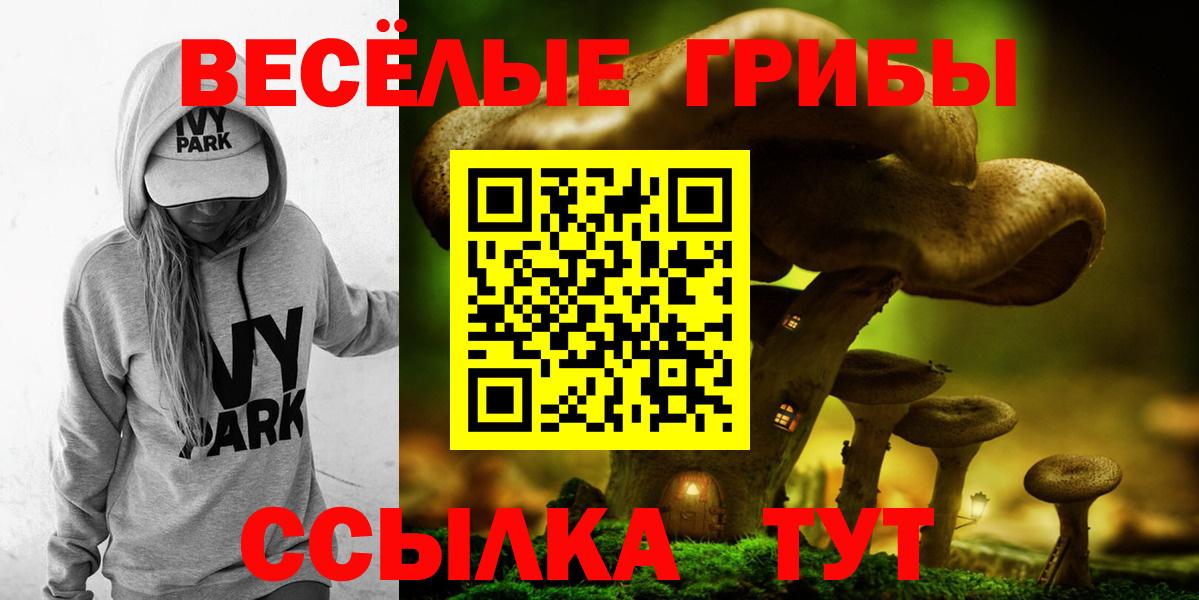 Галлюциногенные грибы ЛСД  Галлюциногенные грибы Cubensis  Новошахтинск  Вход с VPN 